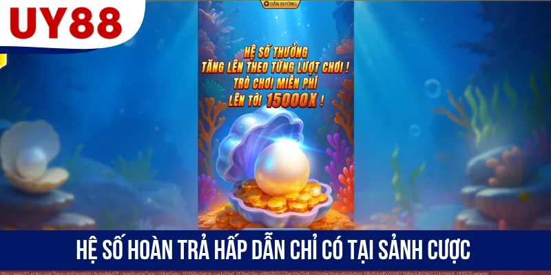 Hệ số hoàn trả hấp dẫn chỉ có tại sảnh cược